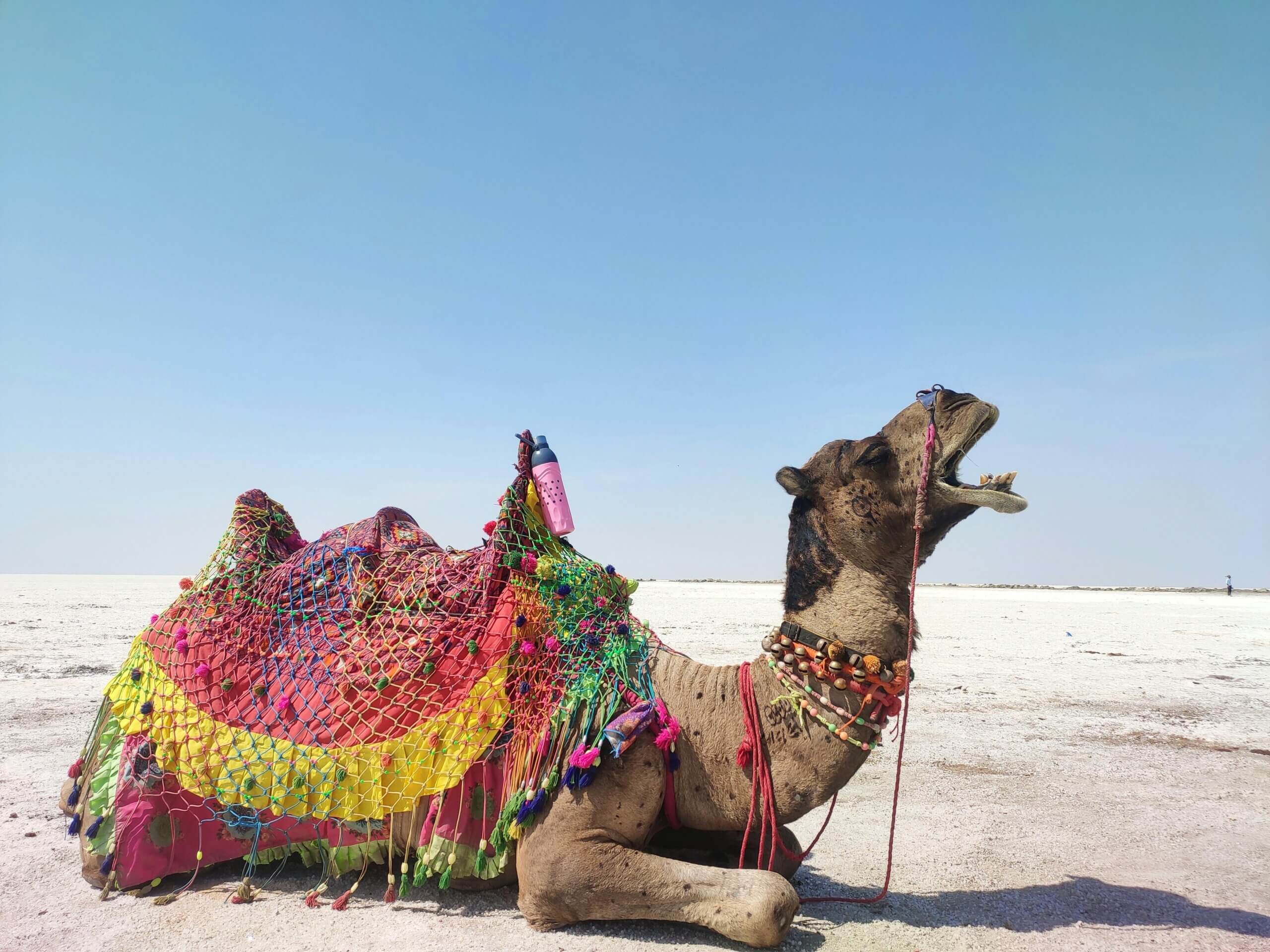 Rann of Kutch